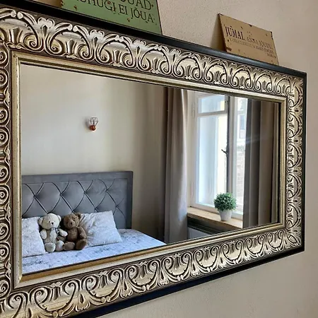 With A Historic Feel In The Center Apartment