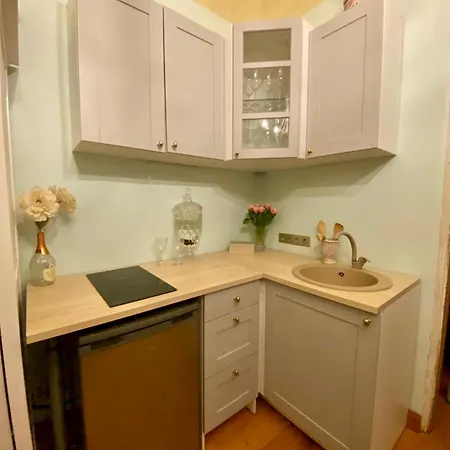With A Historic Feel In The Center Apartment *